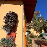 Evgenios Studios